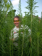 me in weeds