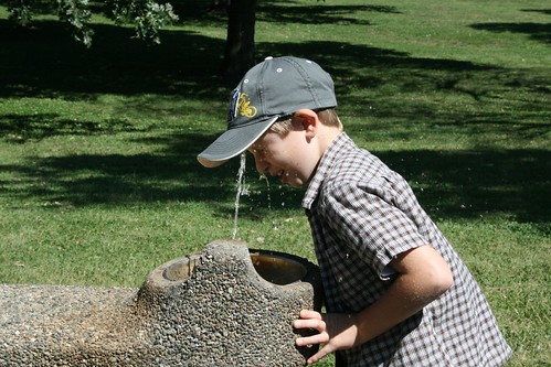 Naturalist D vs Drinking Fountain