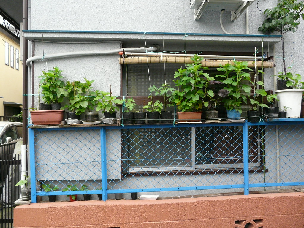 Eye-level Pot Plant Rack