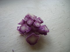 chopped purple cauliflower stem