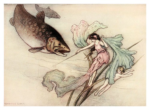 003-The water-babies a fairy tale for land-baby 1909-ilustrado por  Warwick Goble