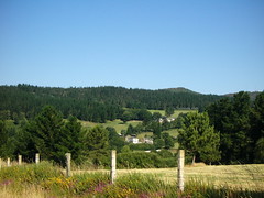 Panorama rural