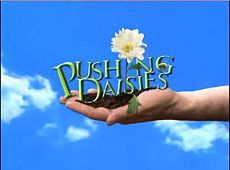 Pushing_Daisies.jpg