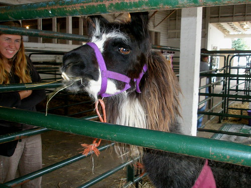 Rachael and fringed llama P9230042