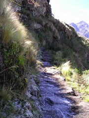 Icy Inca Path