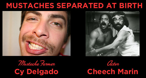 Mustaches Separated at Birth SIX