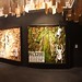 Panorama general de la exposición. Inauguración de la exposición el Bosque Encapsulado de Ana Donat. Obra Social Caja Mediterrańeo