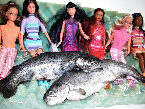 fish on the new Barbies