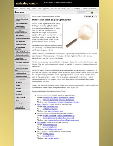 e-strategy.com New Interior Page - Screenshot 8/29/07