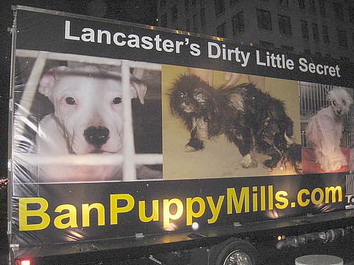 Pa puppy mill protest sign