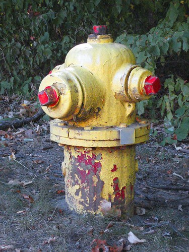 Yellow Fire Hydrant\Red Nipples