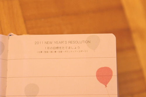have you planned your 2011 resolution already?