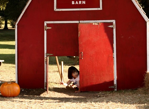 e in the barn