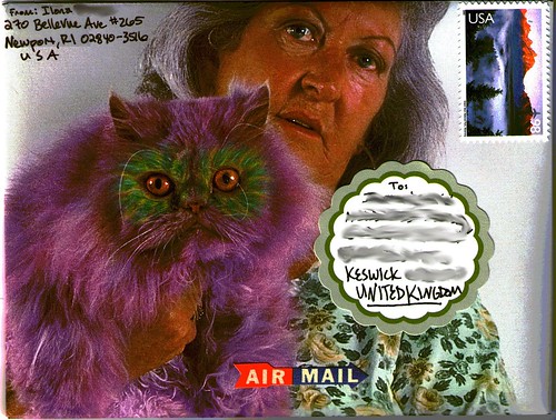 Purple cat envelope