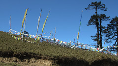 Bhutan-1778