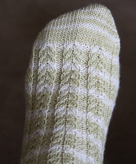 Asparagus Sock Foot 070907