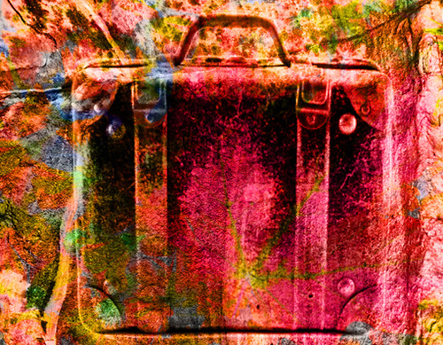 suitcase_autmn