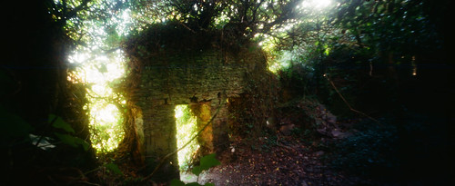 Cottage ruins (3 of 3)