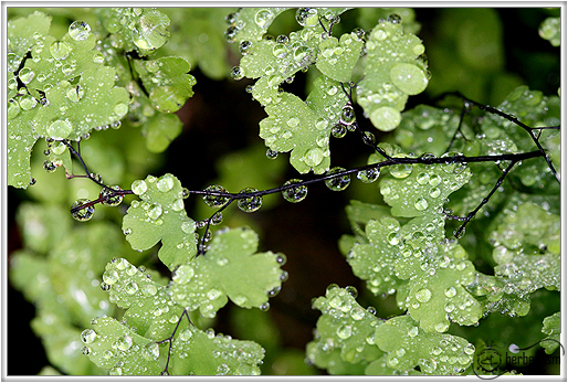 droplets blog