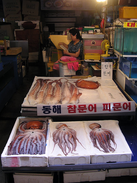 Kraken on sale at Noryanjin Fish Market, Seoul, South Korea