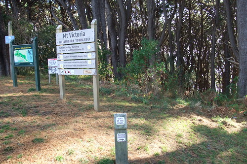 Information of the Southern Walkway