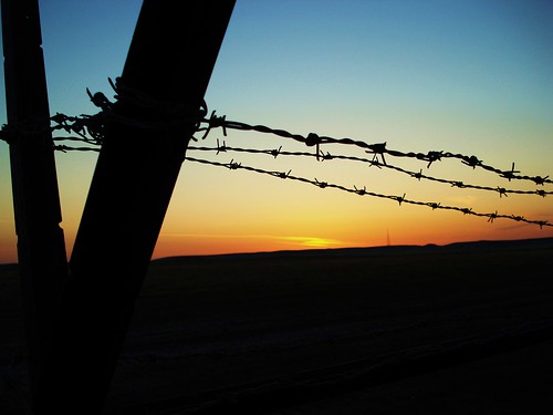 Barbed Wire Sunrise by Army Man Chaz