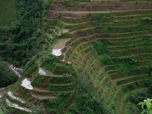 0404-banawe-rice-terraces(Philippines)