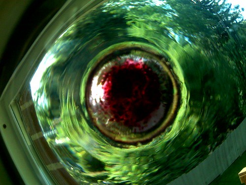 Looking Through a Used Wine Glass