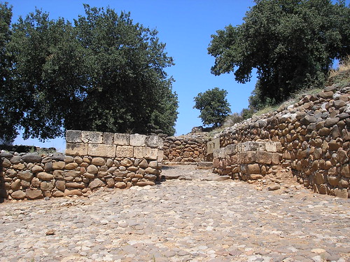 dan's israelite gate