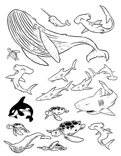 All Sea Animals