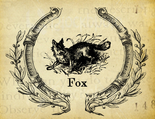 you are a fox postcard