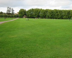 Picture of Jesus Green