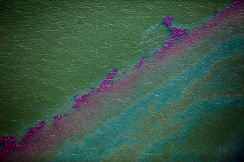 20100618-tedx-oil-spill-1491
