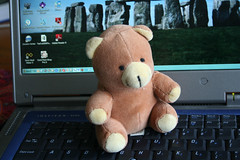 Teddy 080707