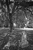 Union Cemetery: Redwood City