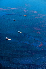 20100618-tedx-oil-spill-1421