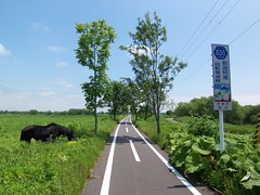 Cycling road