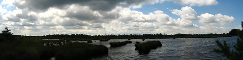 Stappersven Marsh, Belgium