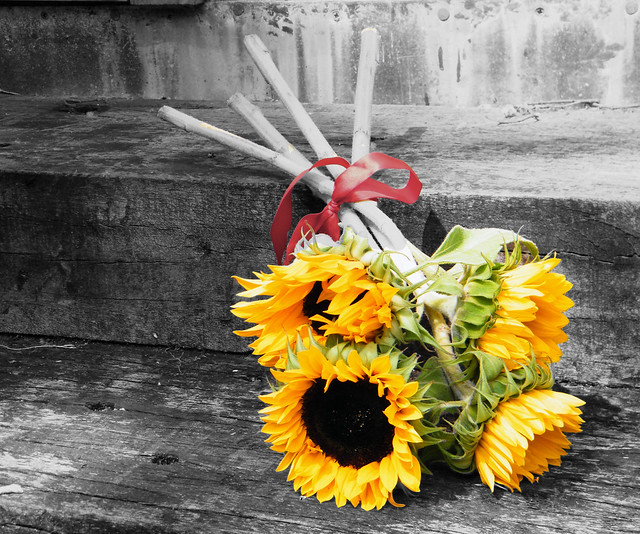 Here I have converted the background and sunflower stalks to black and white 