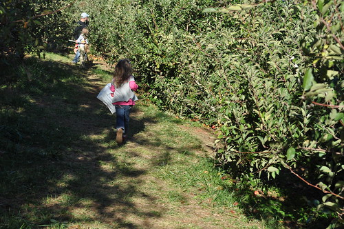running through the orchard