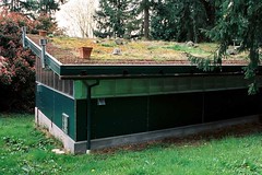 Green Roof Workshop