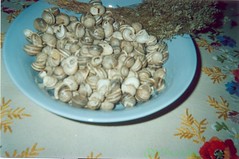 Babbouche حلزونات
