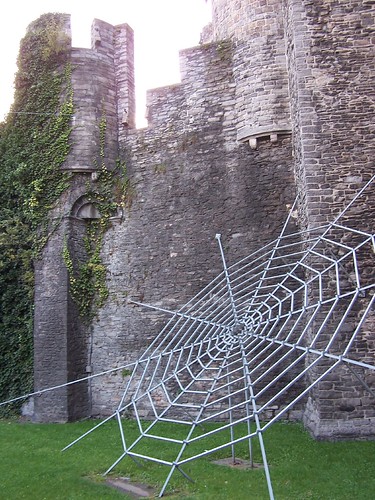Cobweb at the Castle of the Counts