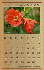 August Wood Calendar