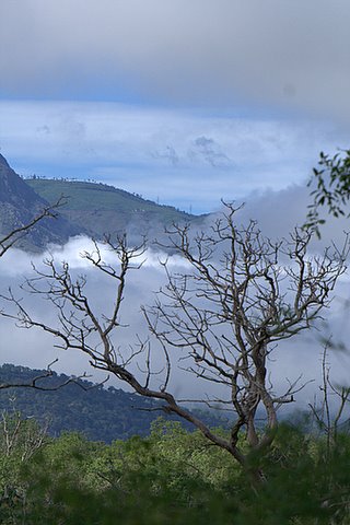 Bandipur Scenery with Monsoon Clouds