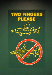 Instructions set forth to not startle the fish