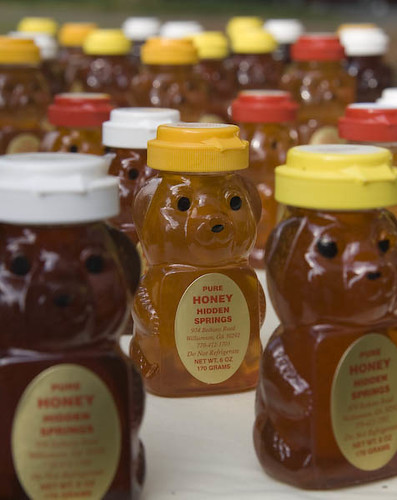 March Of The Honey Bear Soldiers