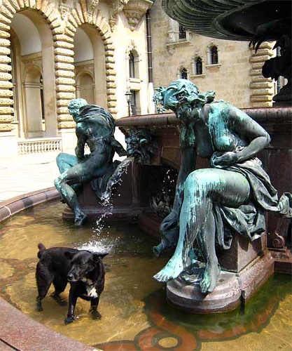 Собачки и фонтаны