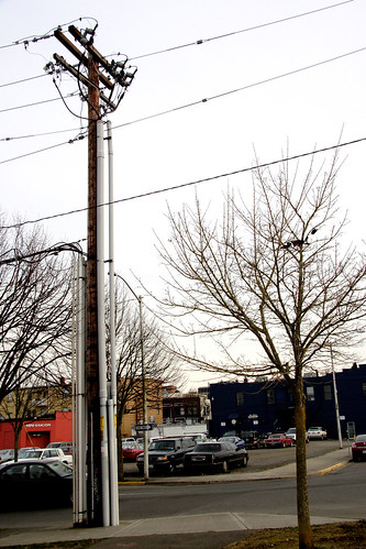 Utility Pole and Street