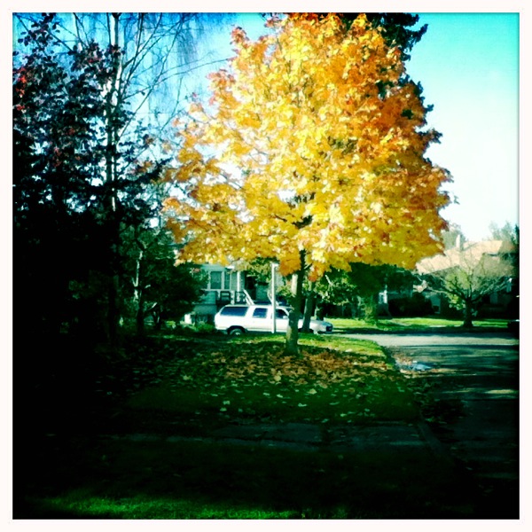 Fall Color w/new iPod Touch 3
